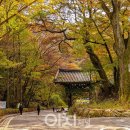 광덕사 일대 이미지