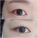 오블리속눈썹 이미지