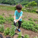 금대리 경로당 이미지