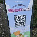 미로달 | 제주 메이즈랜드 | 생각보다 재미있었던 미로공원 방문 후기