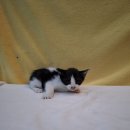 임피면 주민센터 이미지