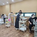 포항애견