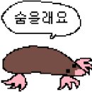 배스킨라빈스포천 이미지