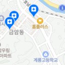 계룡이사랑치과의원 네이버블로그