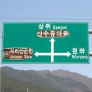 구례산수유