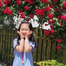 크레듀어린이집 이미지