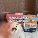 강아지 배변패드 리뷰 | 페스룸 스마일패드 대형 사용 후기