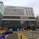 타잔비엔지 이미지