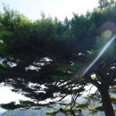 한별목장 이미지