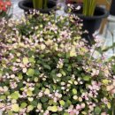 하나할인마트 이미지