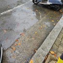 KT북대구지사 이미지