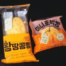 지에스25 청학왕점 | GS25 신상 간식! 귀여운 미니호박빵 vs 왕땅콩빵 비교 후기 🍞🎃🥜