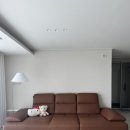 자코모 젬마 스윙 3.5인 오렌지 구매후기
