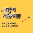 세모,별 | 고양이 용품 : 우르릉 스튜디오 고양이 세모빗 후기