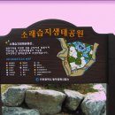 인천 소래습지생태공원 1. 이미지