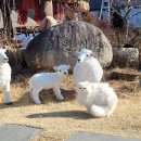 안골1길 6-4 이미지