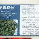 어촌식당 이미지