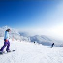 휘닉스파크 이미지