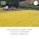 명우축산 이미지