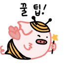 탑동길손 이미지