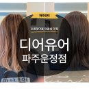 [파주] 염색 잘하는 미용실 디어유어 헤어룸 톤다운 염색 만족 후기