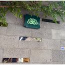 산희 이미지