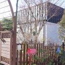 고미재펜션 이미지