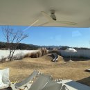 경주 독채 단체가족펜션 마레아풀빌라 건축상 받은 감성 숙소 내돈내산 후기
