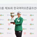 에프엠에스 이미지