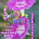 1월11일(화요일)간추린뉴스 이미지