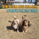 포동 멍래블 광명 뭉게뭉게 구름산 빌리지 애견운동장 마당 대여 후기