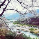 수류화개 이미지