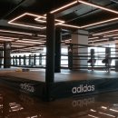 헤라복싱클럽 이미지