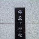 신어중학교 이미지