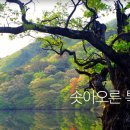 (주)일원지질 - 평택시 | (주)일원지질