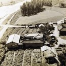 부곡3리 이미지