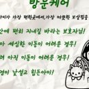 운정 숲 고양이호텔 이미지