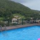 877 스테이 이미지