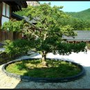 사천(부산) 이미지