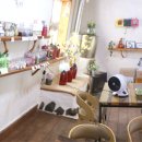 강정2442 꽃피우다 이미지