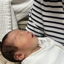 곰태지 | 육아일기ㅣ 0개월 신생아 라임(비키) 성장기록💛