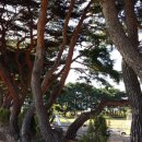 서부초교 이미지