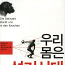 석기시대 이미지
