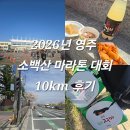 10 | 2026년 영주 소백산 마라톤 대회 10km 후기