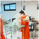 베스트 의정부 애견 미용학원 이미지