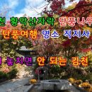 (여행)올가을에 놓치면 안 되는 경북김천 최고의 단풍 명소 김천8경 가을여행지 대구경북단풍명소. 김천직지사단풍. 황악산 직지사단풍. 이미지