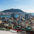 초장동7 이미지