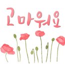 컴퓨레이터 이미지