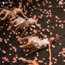 2025년 더 페스티벌 <평택 실내악 페스티벌> 이미지