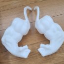 헐크헬스 | 3D프린팅 고양이 헐크 팔 근육팔 후기🤔